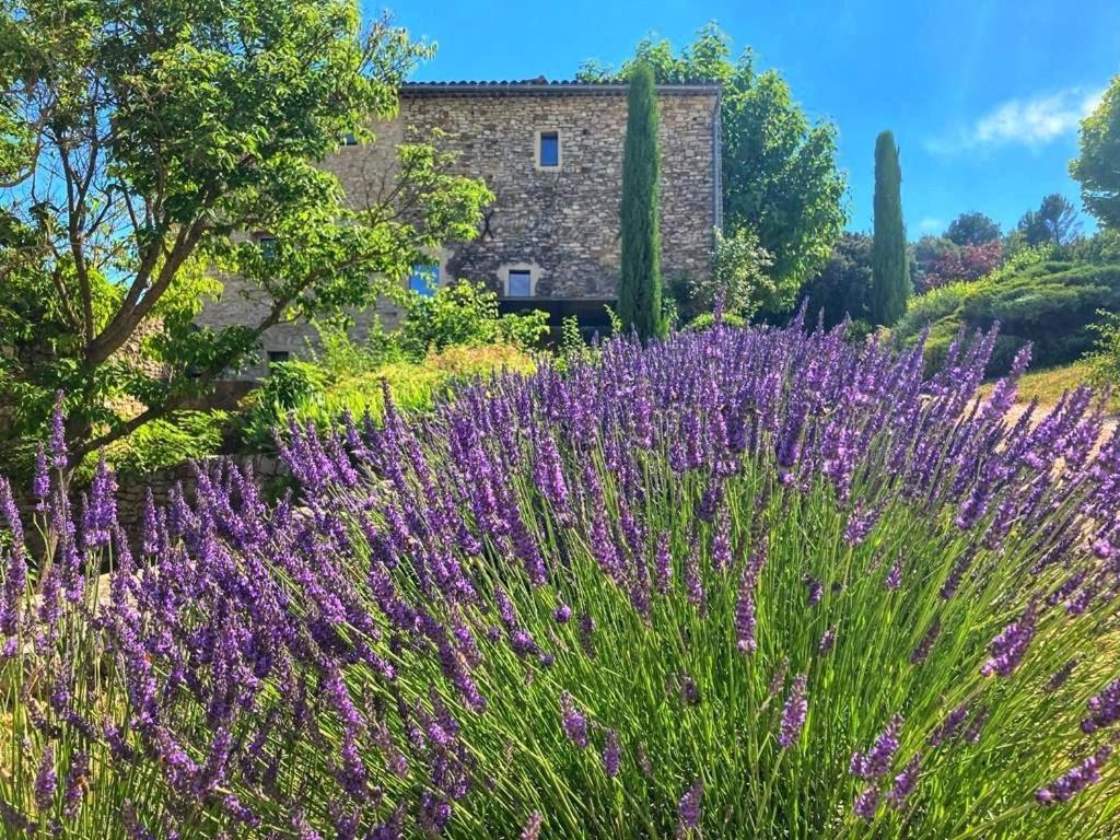Casa vacanze La Providence Apt